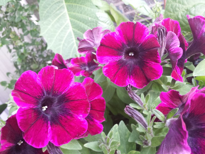 2014-06-29 20.47.04.jpg